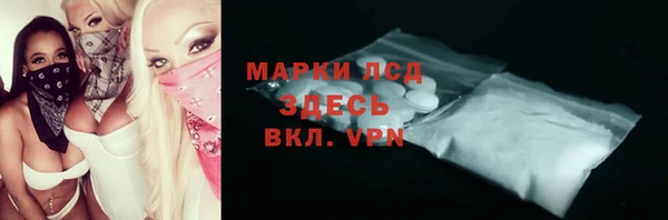 apvp Бикин