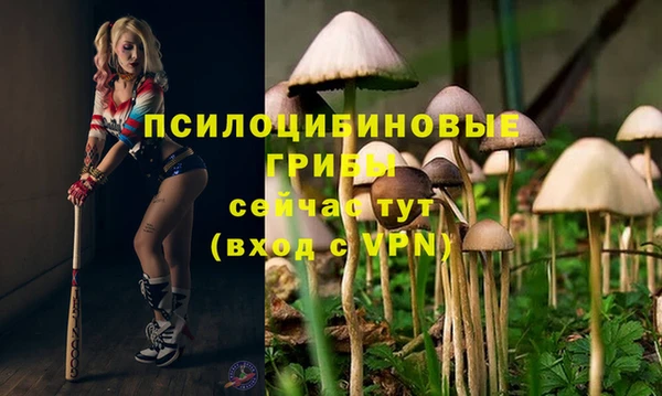 трава Медвежьегорск