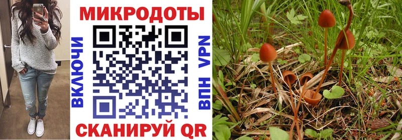 мориарти наркотические препараты  Новоузенск  Псилоцибиновые грибы Psilocybe  мега как войти 